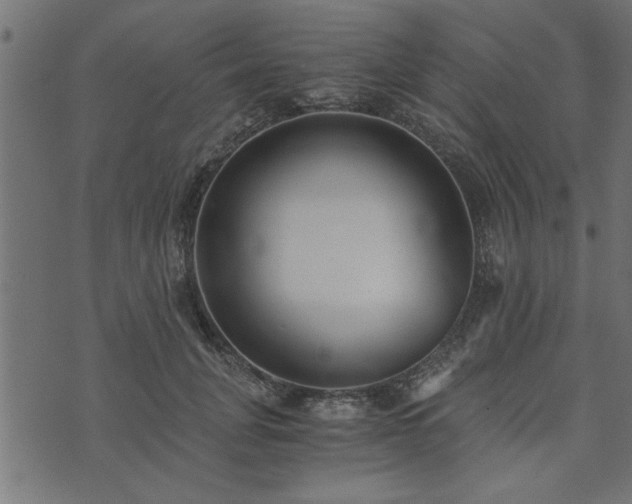 X0000073900751200608180958