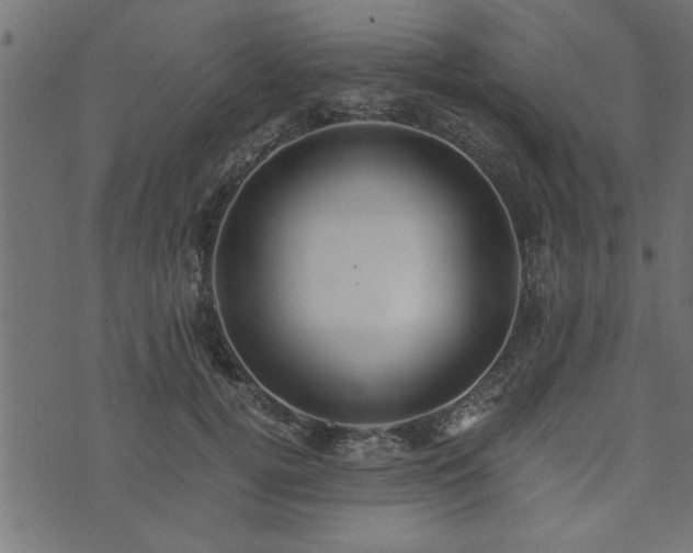 X0000073900752200608180958