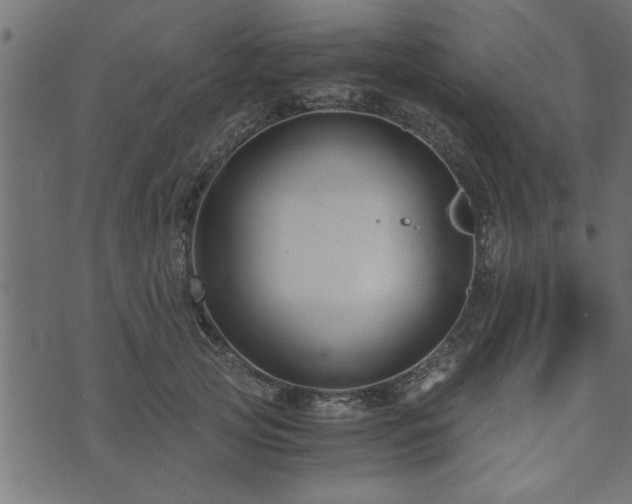 X0000073900753200608180958