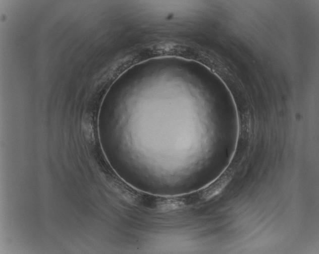 X0000073900754200608180958