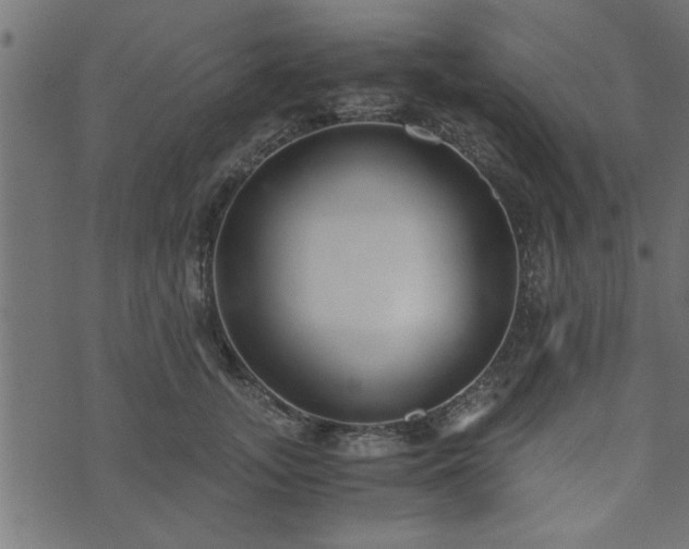 X0000073900755200608180958