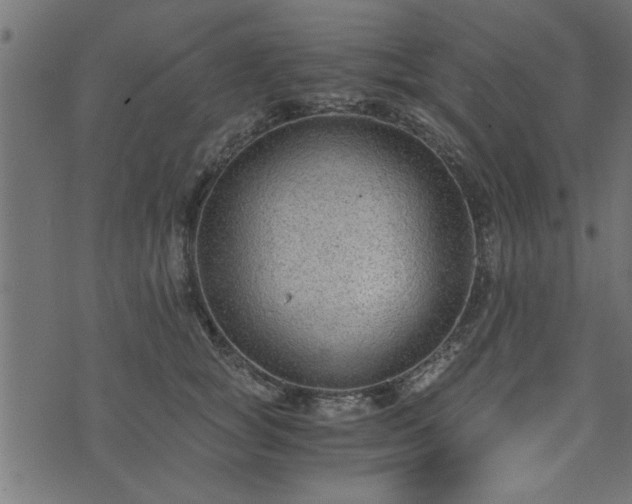 X0000073900757200608180958