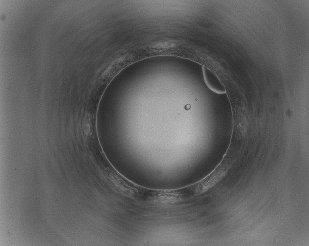 X0000073900758200608180958