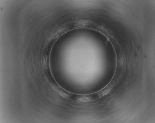 X0000073900759200608180958