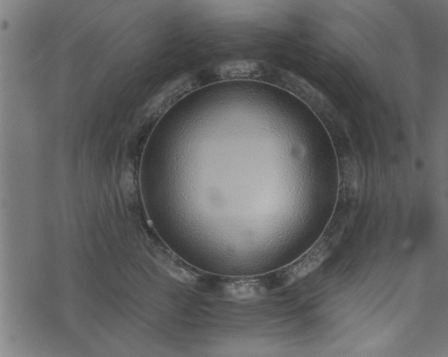 X0000073900761200608180958