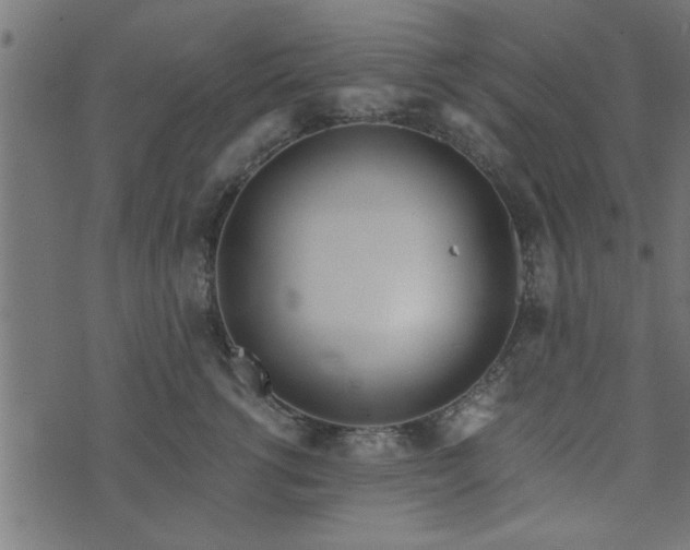 X0000073900762200608180958