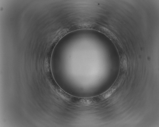 X0000073900764200608180958