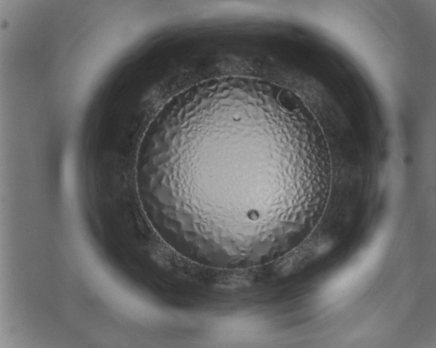 X0000073900765200608180958