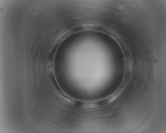 X0000073900766200608180959