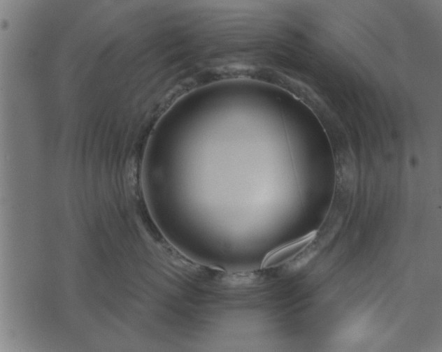 X0000073900767200608180959