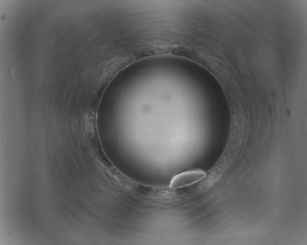 X0000073900768200608180959