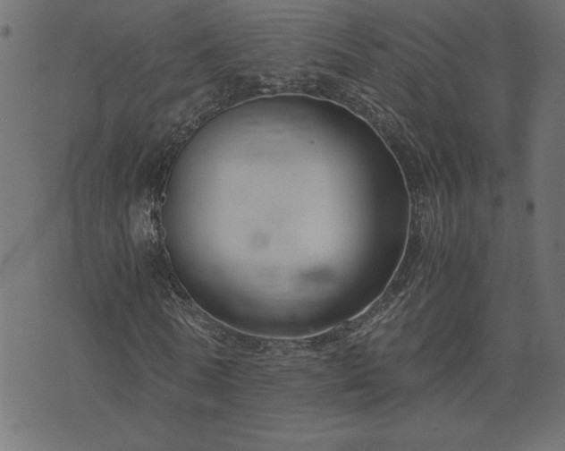 X0000073900770200608180958