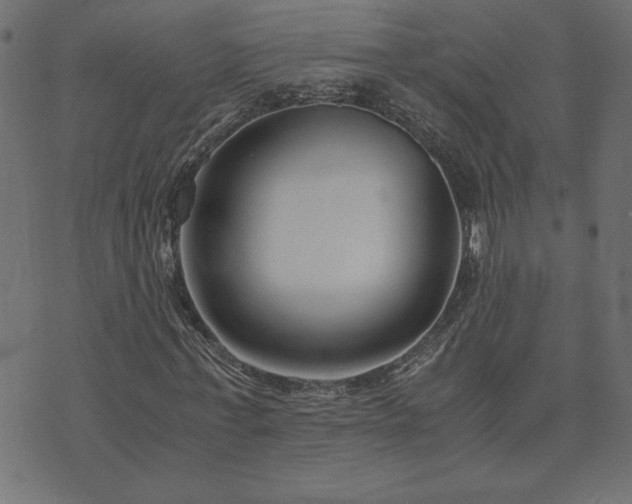 X0000073900771200608180958