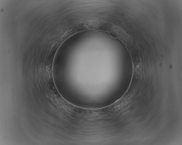 X0000073900772200608180958