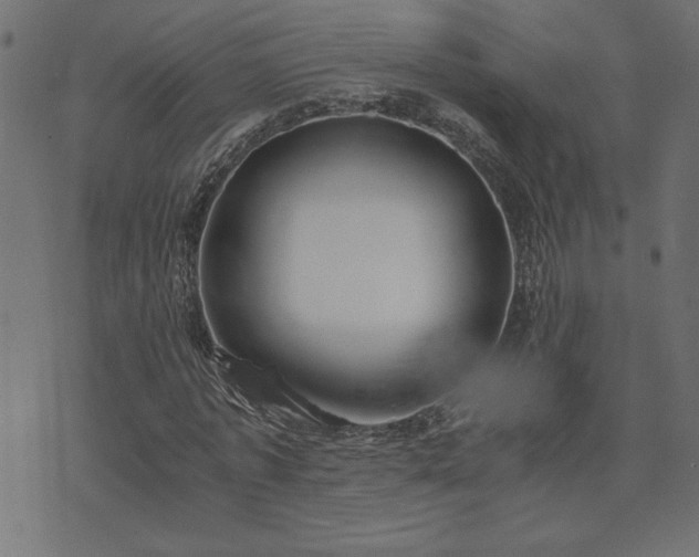 X0000073900773200608180958