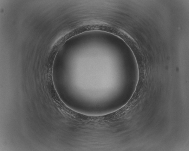 X0000073900775200608180958