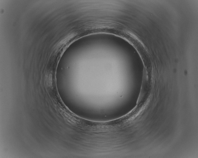 X0000073900777200608180958