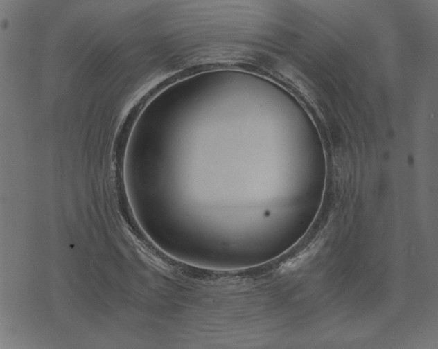 X0000073900779200608180958