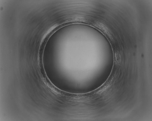 X0000073900780200608180958