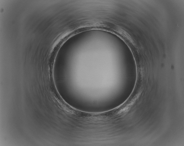 X0000073900781200608180958