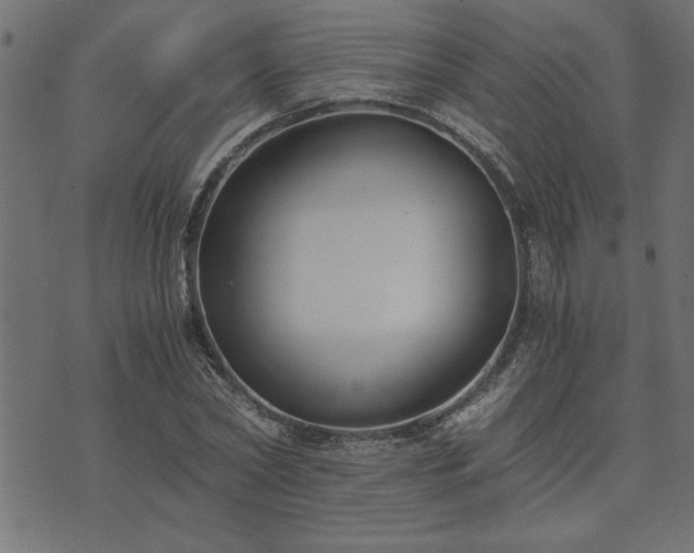 X0000073900782200608180958