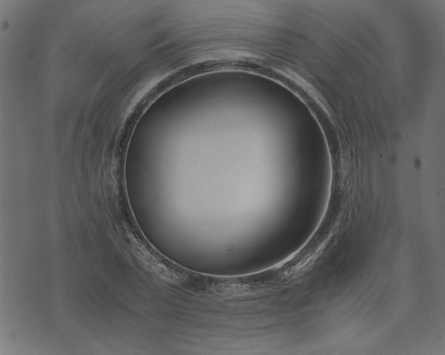 X0000073900783200608180958