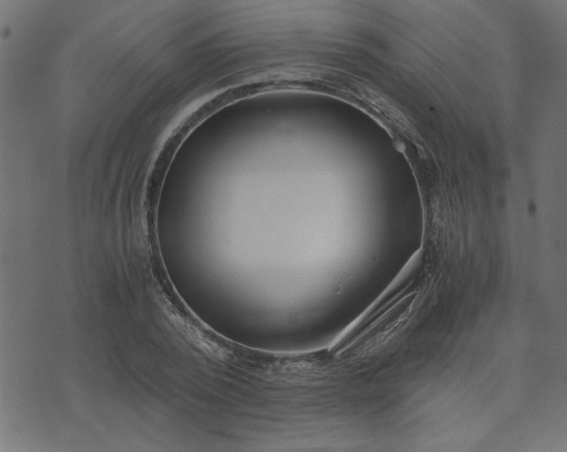 X0000073900784200608180958