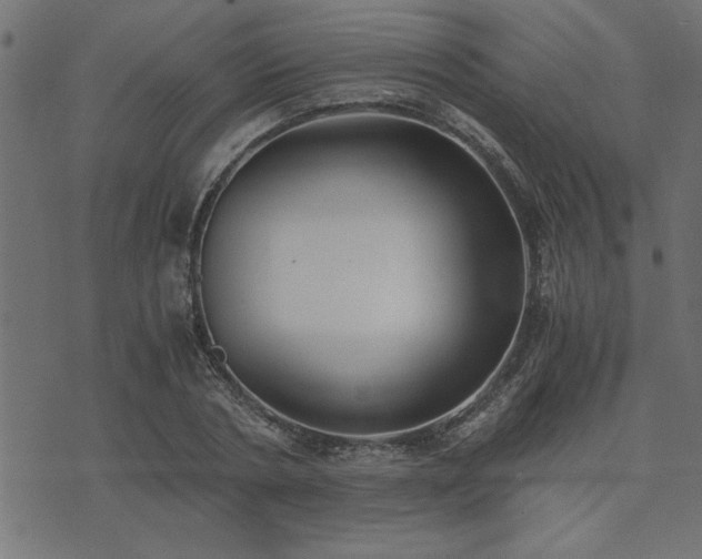 X0000073900786200608180957