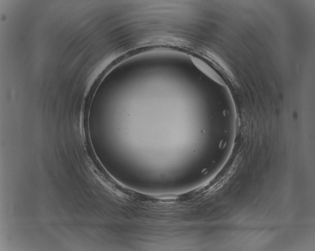 X0000073900788200608180957