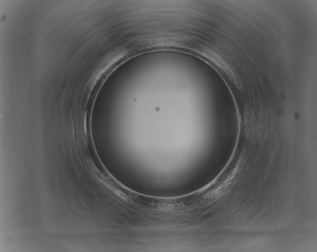 X0000073900790200608180957