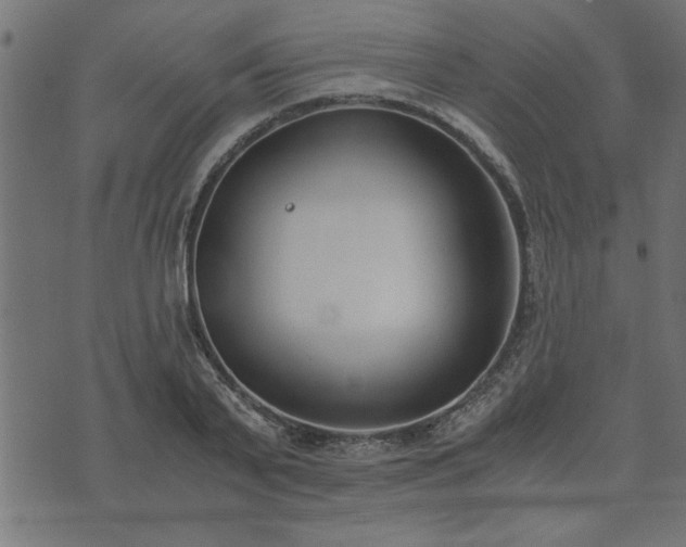 X0000073900791200608180957