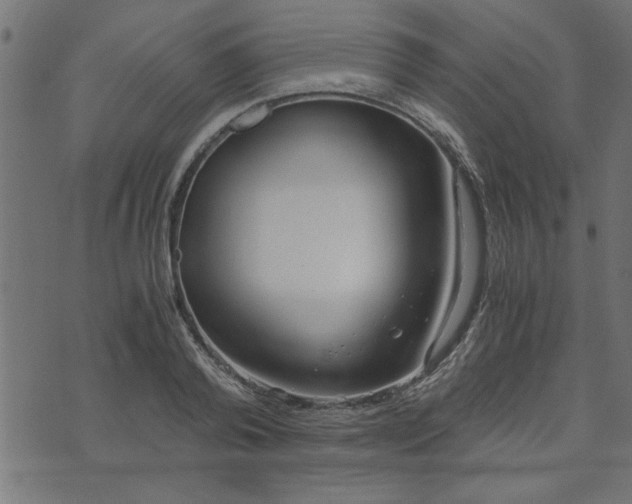 X0000073900792200608180957