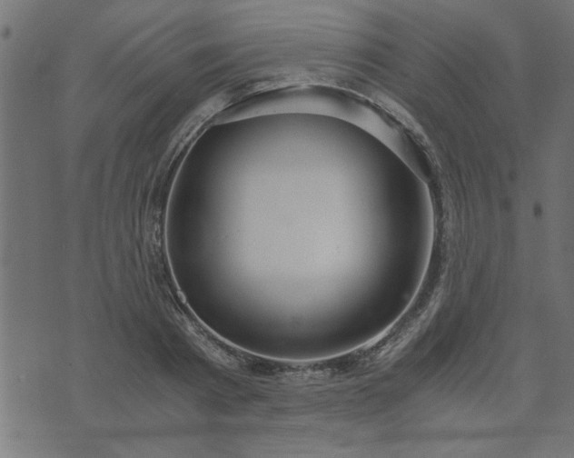 X0000073900793200608180957