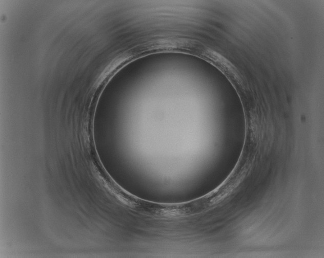 X0000073900794200608180957