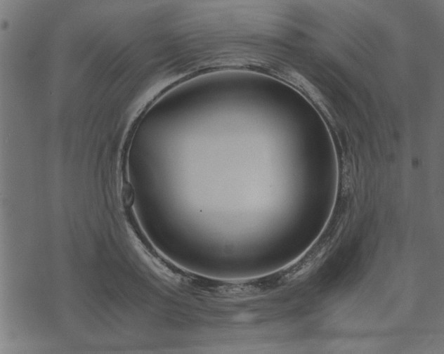 X0000073900795200608180957