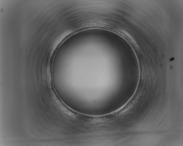 X0000073900796200608180957