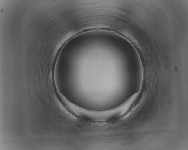 X0000073900797200608180957