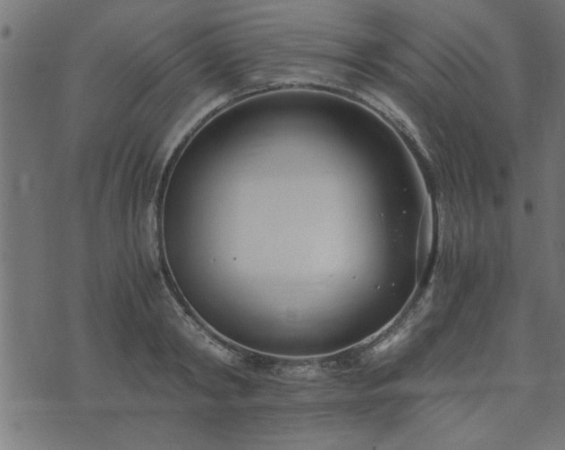 X0000073900798200608180957