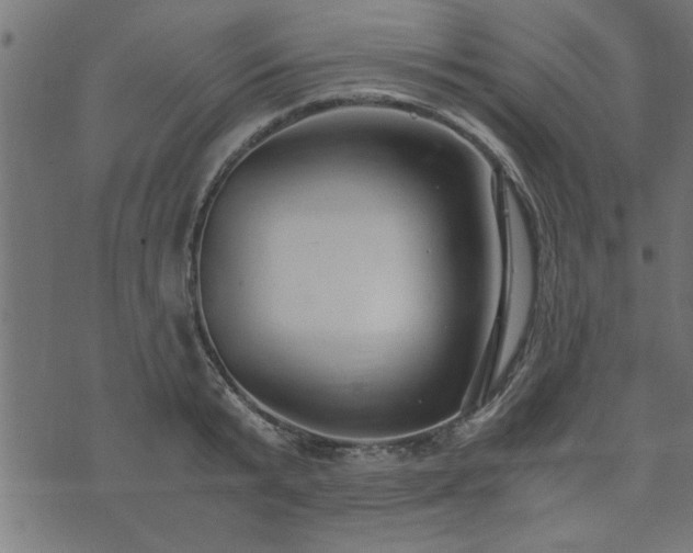 X0000073900799200608180957