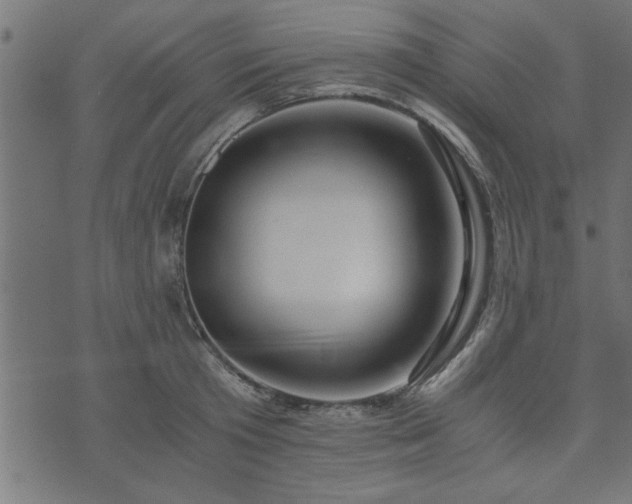 X0000073900801200608180957