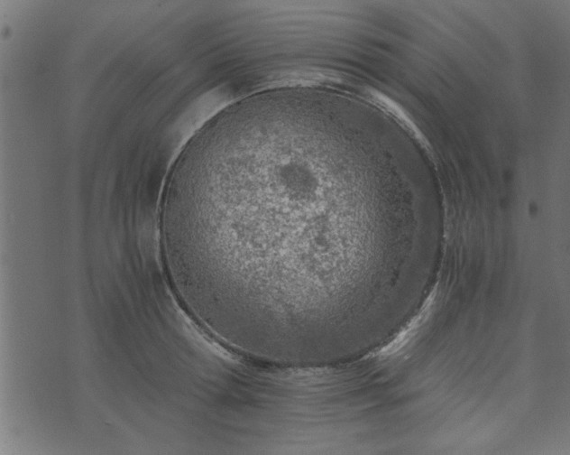 X0000073900802200608180957