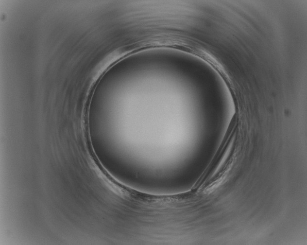 X0000073900803200608180957