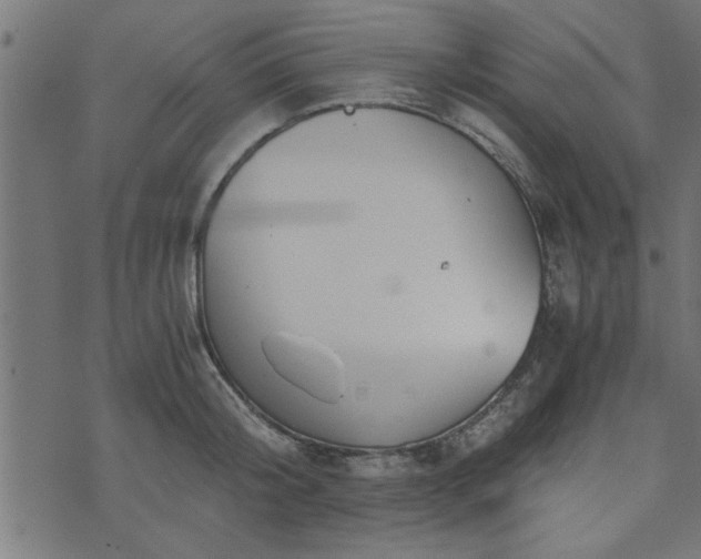 X0000073900804200608180957