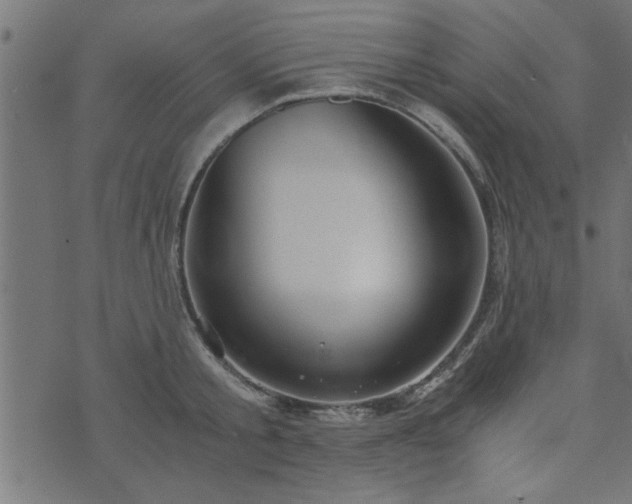 X0000073900805200608180957