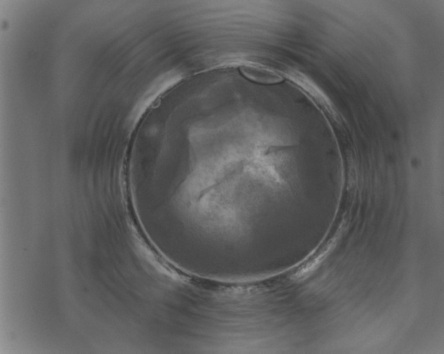 X0000073900806200608180957