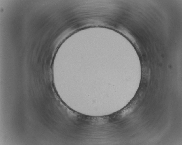 X0000073900807200608180957