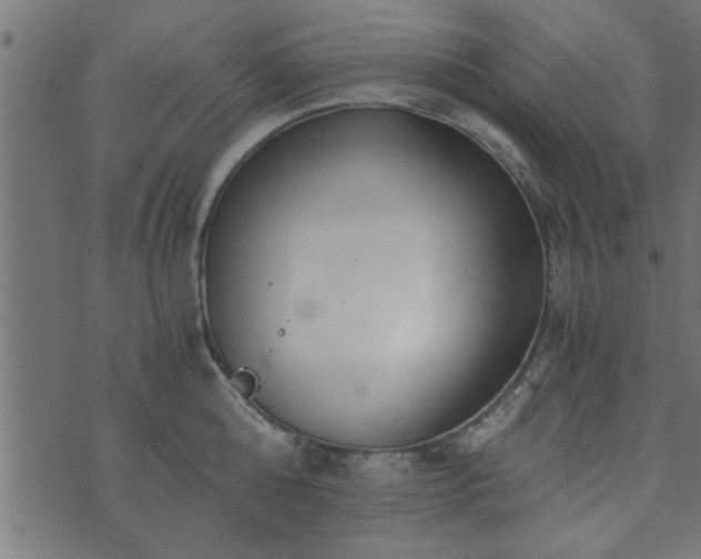 X0000073900808200608180957