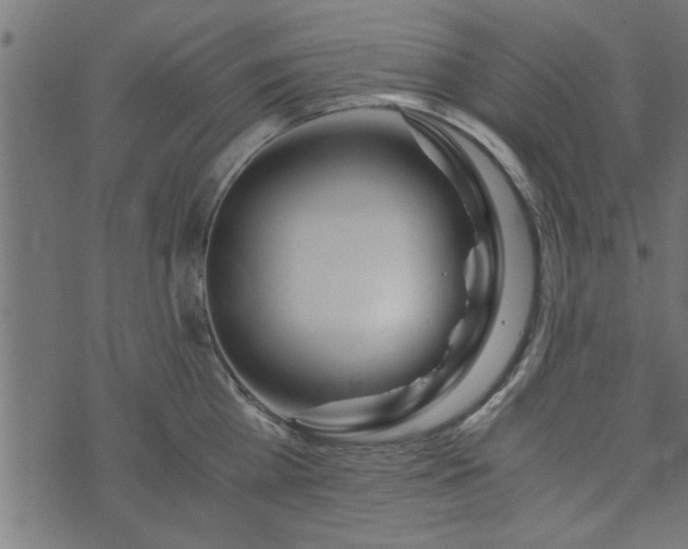 X0000073900809200608180957