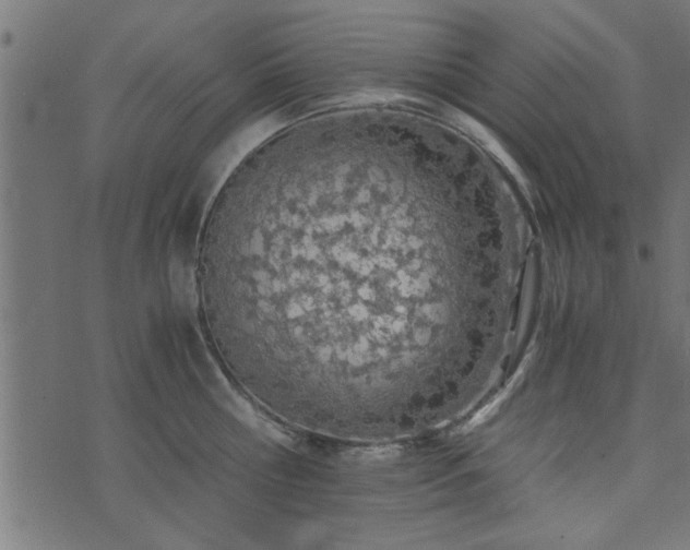 X0000073900810200608180957