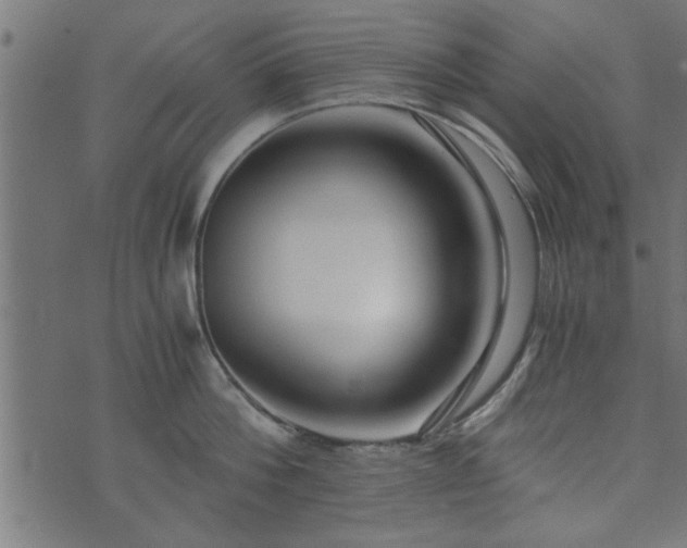 X0000073900812200608180957